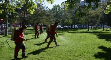 Kocasinan'dan huzurlu bir yaz için haşere ile mücadele