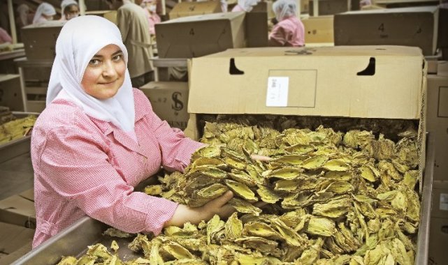 Tütün sektöründe hedef milyar dolar!