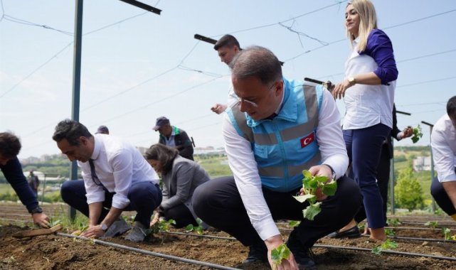 Beylikdüzü'nde yazlık fideler toprakla buluştu