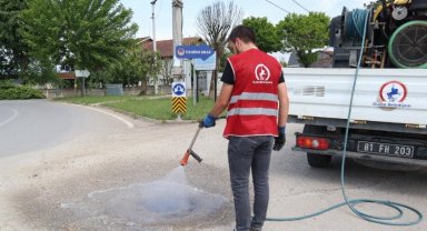 Düzce'de ilaçlama çalışmaları devam ediyor