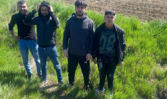 Edirne'de 4 göçmen yakalandı!