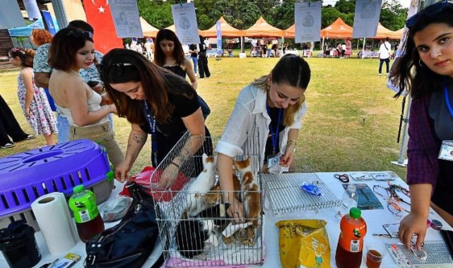 İzmir'de 'sahiplendirme' şenliği