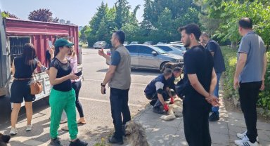 İzmit'teki saldırgan köpeklere ortak müdahale