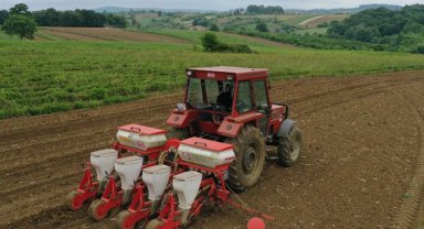 Kocaeli'de mısır tohumları toprakla buluşuyor