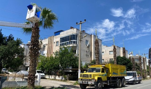 Milas'ta elektrik kesintisi fırsata çevrildi