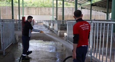 Modern Hayvan Pazarı, Kurban Bayramı'na hazırlanıyor