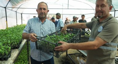 Muğla Milas'ta üreticilere fide desteği