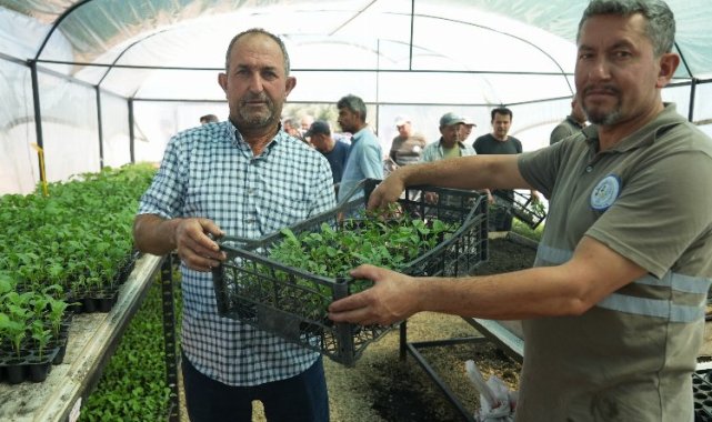 Muğla Milas'ta üreticilere fide desteği