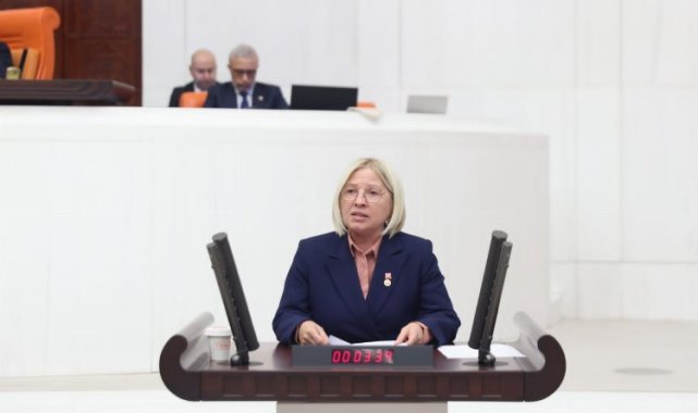 Nurten Yontar: "Ne kadını koruyabiliyorlar ne de aileyi"
