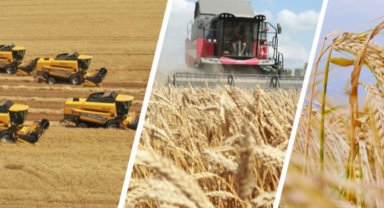 Tarım sektörü de ilk çeyrekte büyüdü