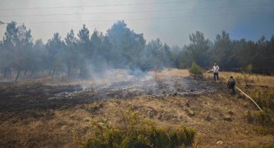 Bursa Büyükorhan'da yangın kabusu