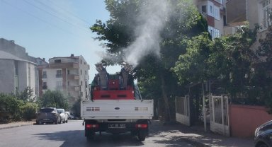 Çayırova'da vektörle mücadele sürüyor