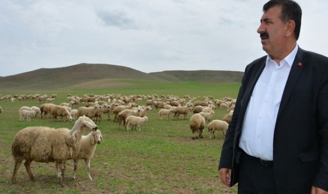 Çevre sorunları küçükbaş hayvancılığı olumsuz etkiliyor