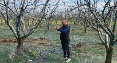 Devlet destekli tarım sigortalarında büyük artış
