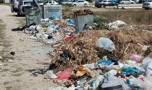 Edirne Keşan sahillerinde sezon açıldı... Ancak!