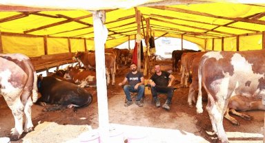 Gebze'de kurban pazarında satışlar başladı