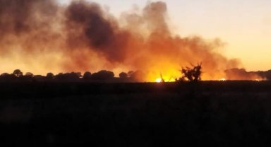 İpsala'da 100 dekar buğday tarlası yandı