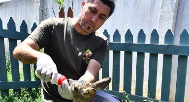 İzmir Doğal Yaşam Parkı'nın misafiri biberonla besleniyor