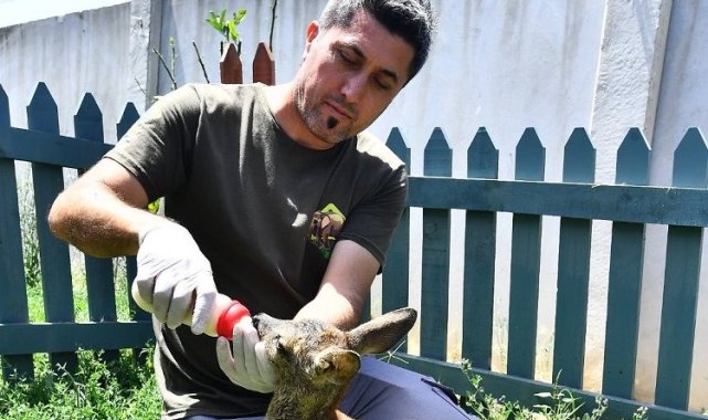 İzmir Doğal Yaşam Parkı'nın misafiri biberonla besleniyor