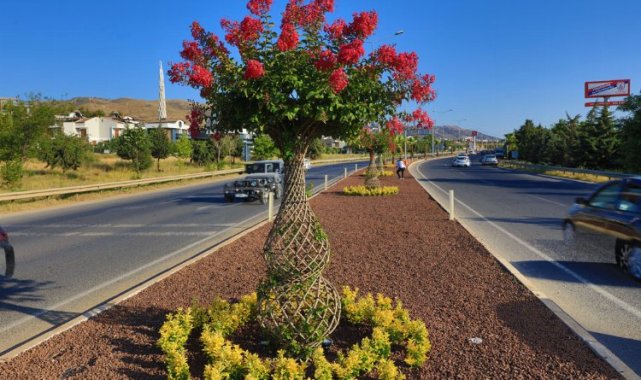 İzmir Güzelbahçe'nin 'Oyaları' çiçeklendi