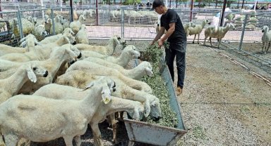 "Kayseri'de bir numara Talas Belediyesi"