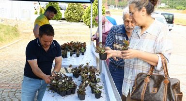 Kocaeli bayramda 'çiçek' gibi