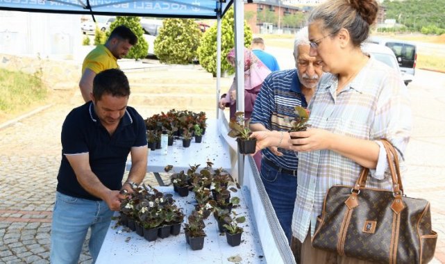 Kocaeli bayramda 'çiçek' gibi