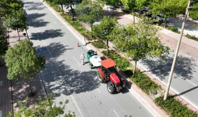 Konya Selçuklu'da haşerelere karşı etkin mücadele