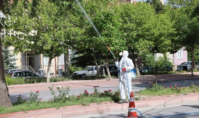 Konya Selçuklu'da ilaçlama çalışmalarına devam
