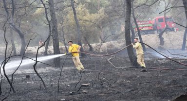 Manisa İtfaiyesi'nin yangın mücadelesi sürüyor
