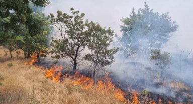Manisa'da ormanlık alanı tehdit eden yangın