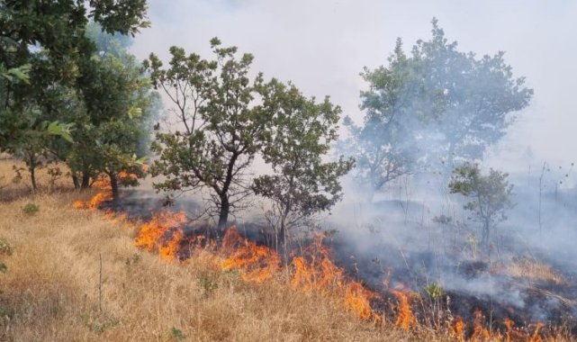 Manisa'da ormanlık alanı tehdit eden yangın