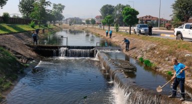 Sakarya Çark Deresi'nde temizlik seferberliği