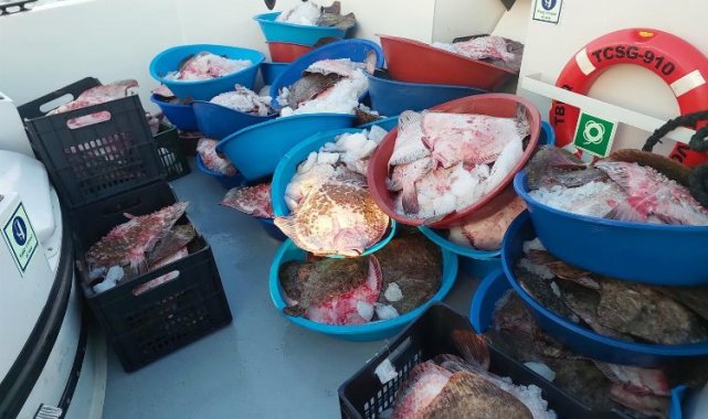 Şile'de kaçak avcılık operasyonu