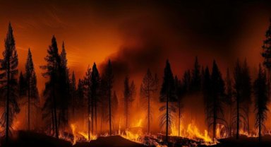 Türkiye'de yangınların yüzde 40'ı İzmir, Muğla, Antalya ve Çanakkale'de