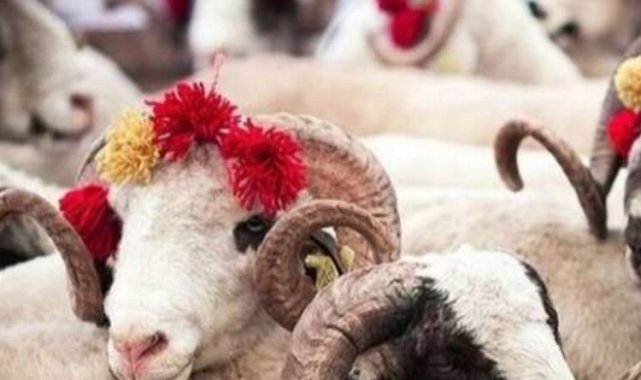 Uzmanı uyardı! Kurban etlerini böyle saklayın