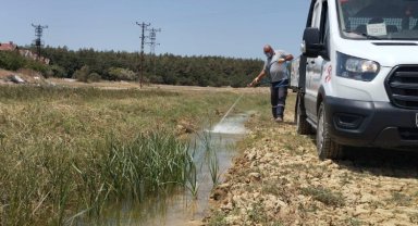 Veterinerlik İşleri Müdürlüğü larvasit mücadelesini sürdürüyor