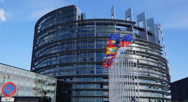 Avrupa'dan Türkiye'ye sokak hayvanları çağrısı