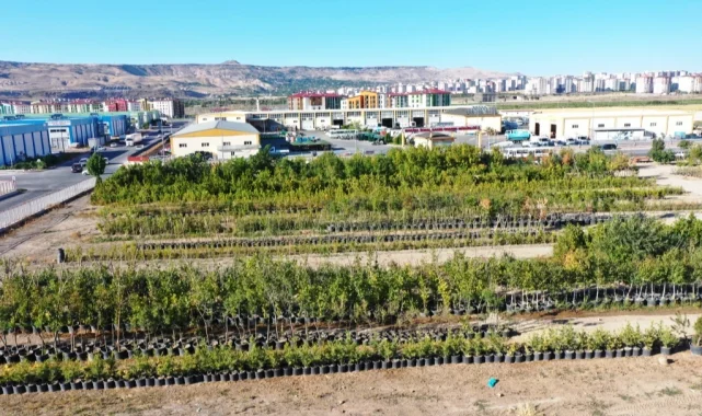 Başkan Çolakbayrakdar, "Yeşil ve daha yeşil bir Kayseri için çalışıyoruz"