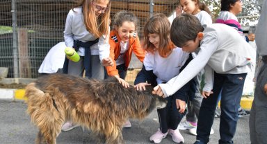 Beylikdüzü'nden o yasaya tepki!