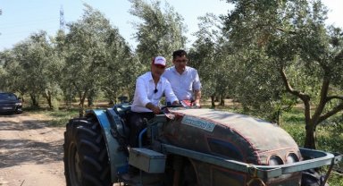 Bursa Gemlik'te zeytin ağaçları suya kavuştu