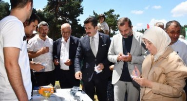 Bursa İznik'te 'maviyemiş' ilgisi