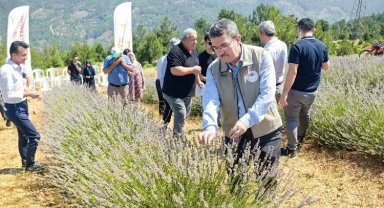 Bursa Orhaneli lavanta kokuyor