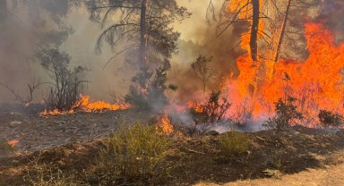 Bursa Orhaneli'deki orman yangını kontrol altında