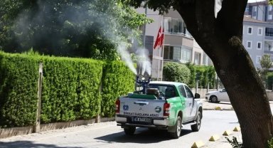 Bursa'da yetersiz ilaçlama, sinek istilasına kapı aralıyor