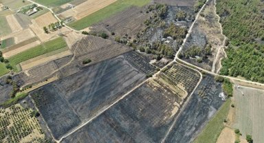 Bursa'dan yangın sonrası 'yeniden yeşillendirelim' çağrısı