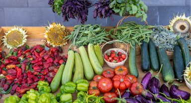 Büyükşehir'in doğal ürünler bahçesi kapılarını açıyor