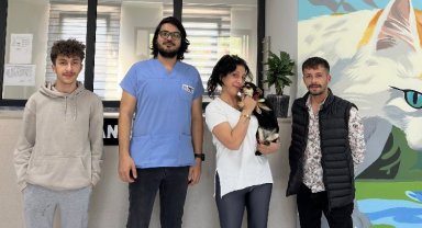 Çayırova Belediyesi, 70 can dosta yuva buldu