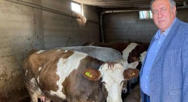 CHP'li vekil Gürer: Ağustos'ta süt krizi yaşanmasın!