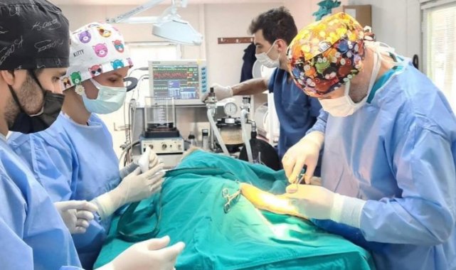 En fazla sokak hayvanını Osmangazi Belediyesi kısırlaştırdı